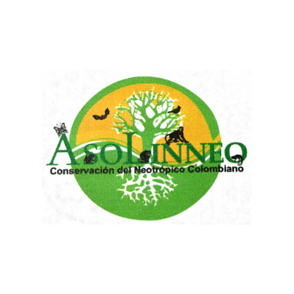 asolinneo-logo