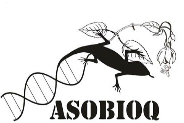 logo-asobioq