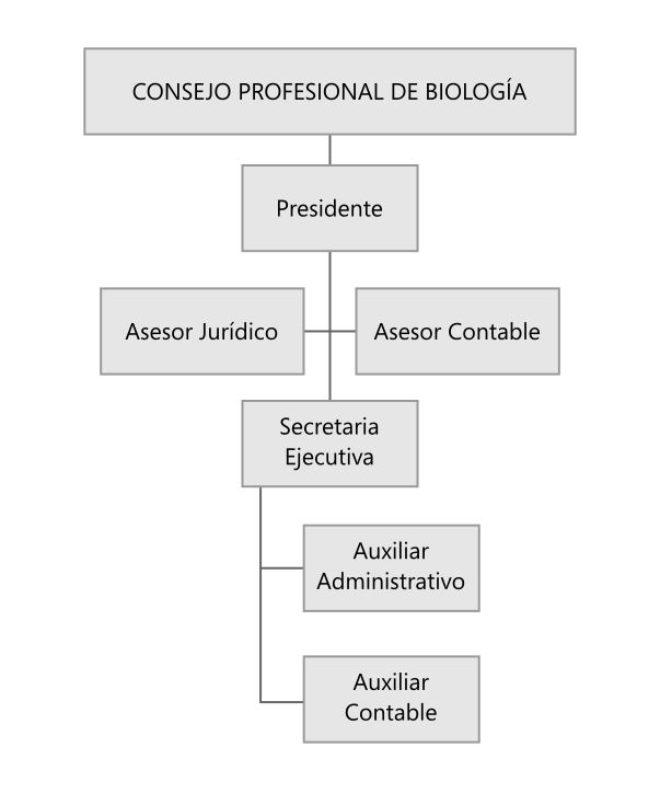 cpb-estructura-administrativos