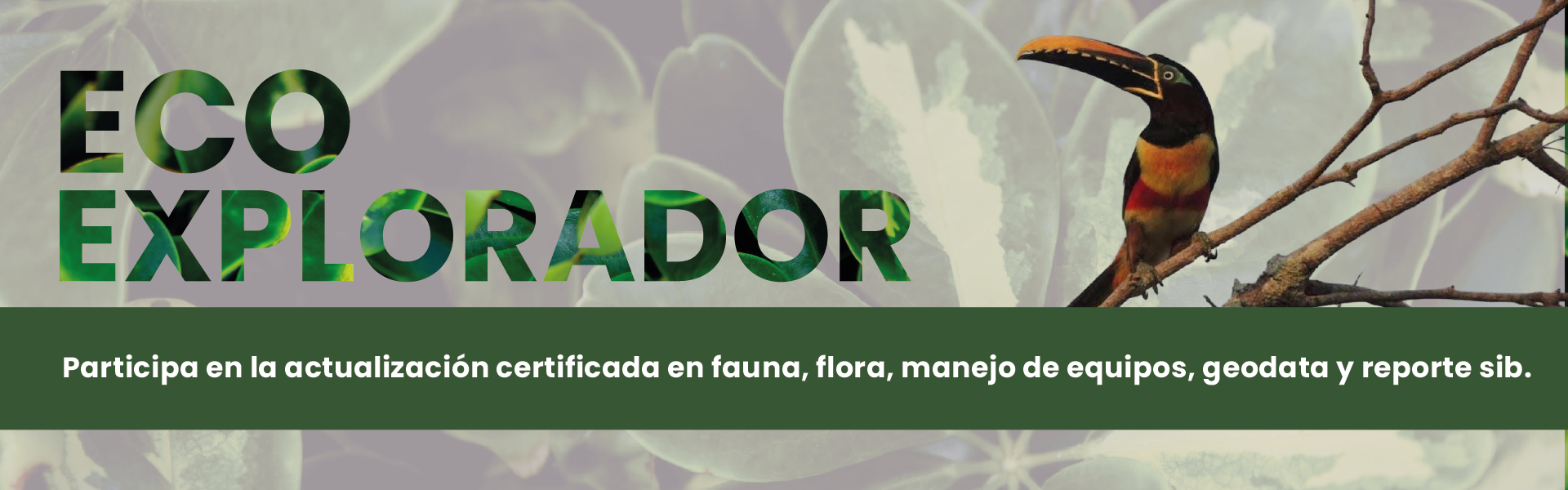 header-actualizacion-certificada