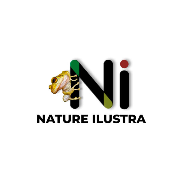 Logo Ni